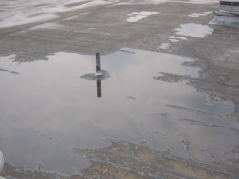 Ponding water on a defective roof, inspected by Garland UK