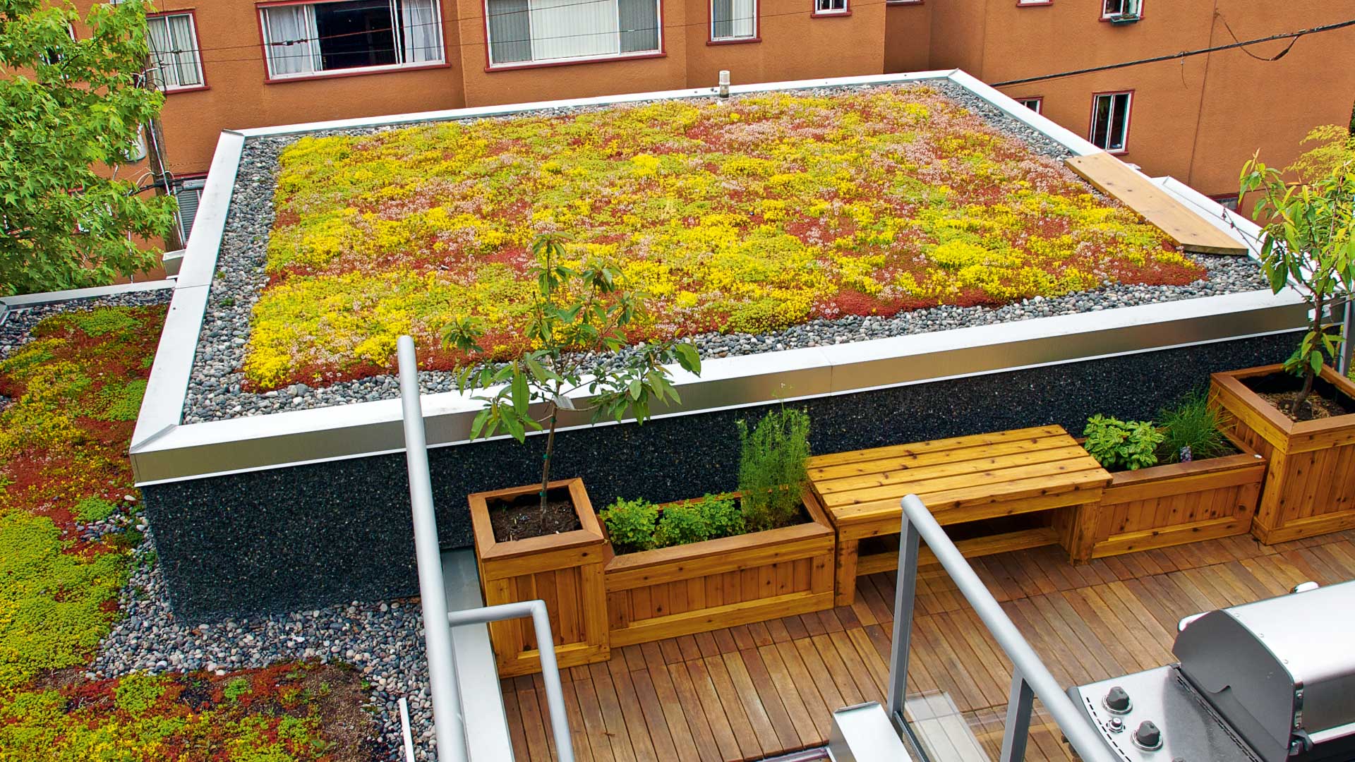Green Roof Header