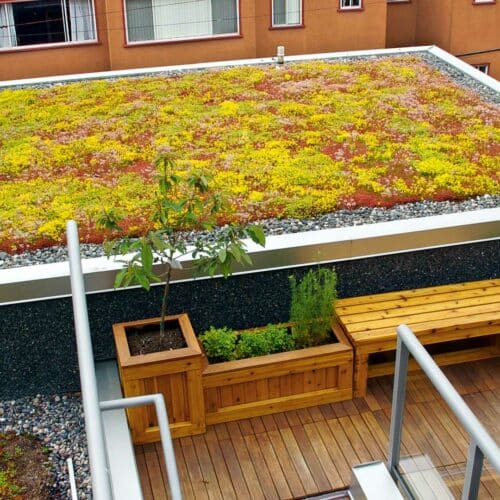 Green Roof Header