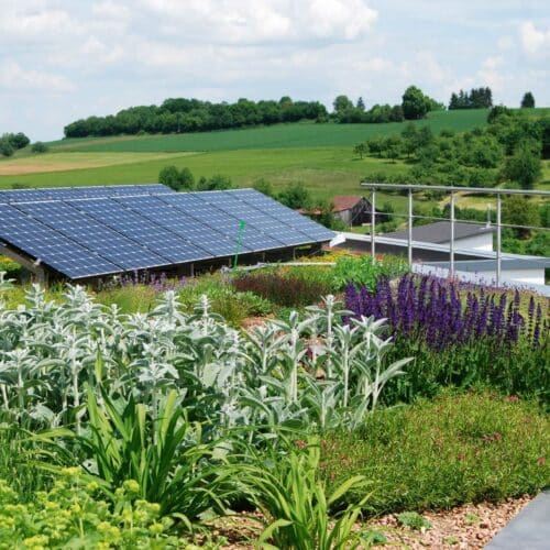 Green Roofing Header