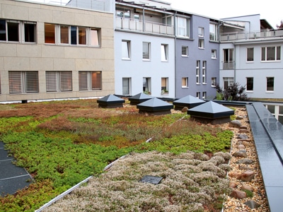 Green Roofing Rainwater