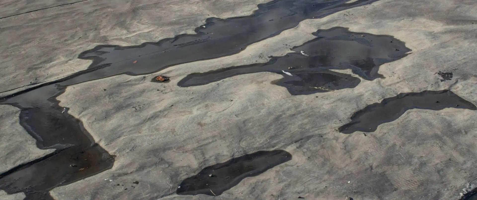 Single Ply Roof failure blistering