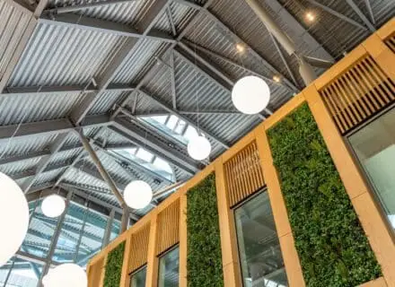 Interior view of a building with a metal ceiling and large round pendant lights hanging above a wooden structure featuring a vertical green wall of plants and windows