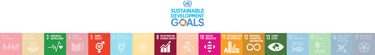 Sustainable Goals Infographic