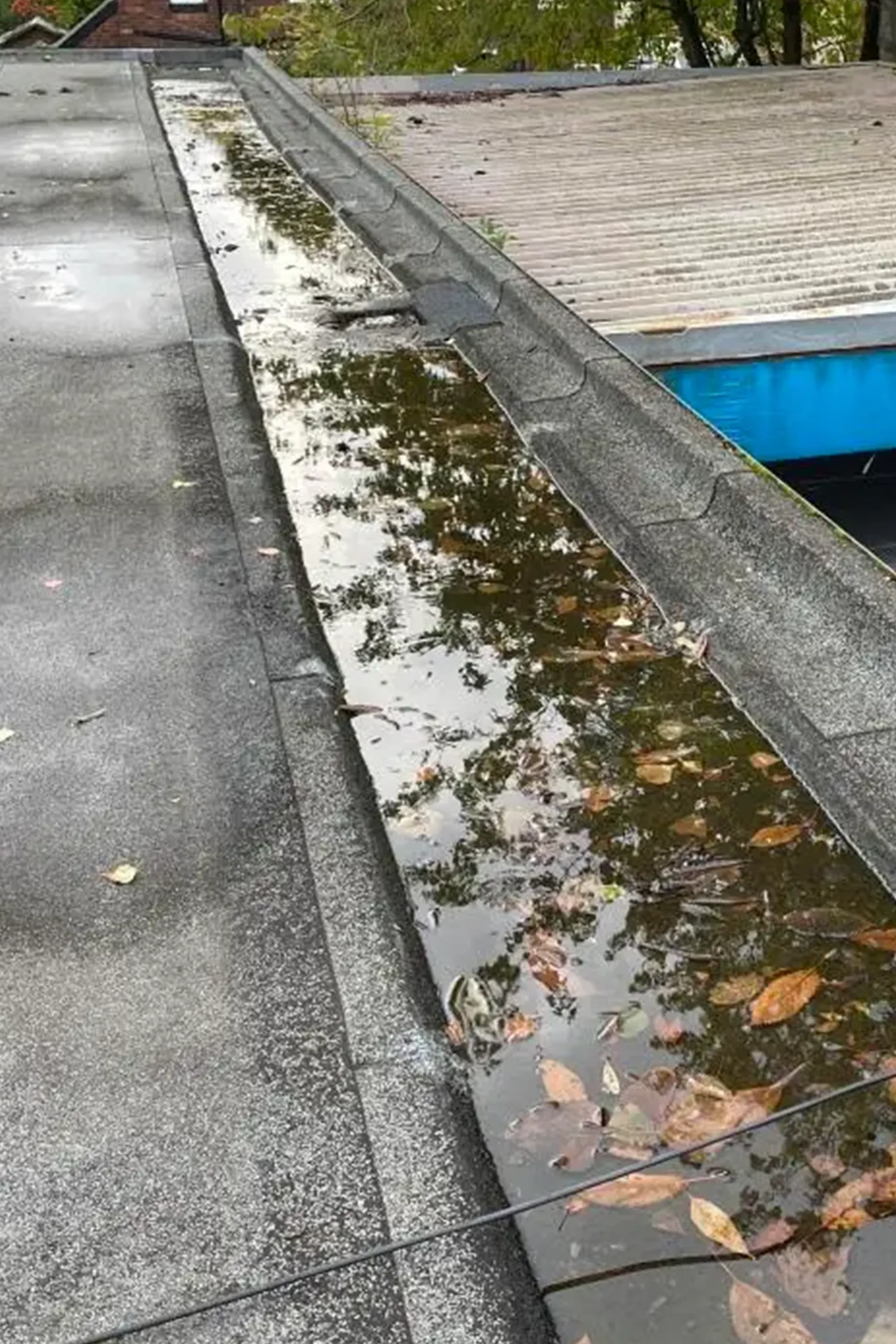 Clogged roof gutter filled with debris and stagnant water near pool