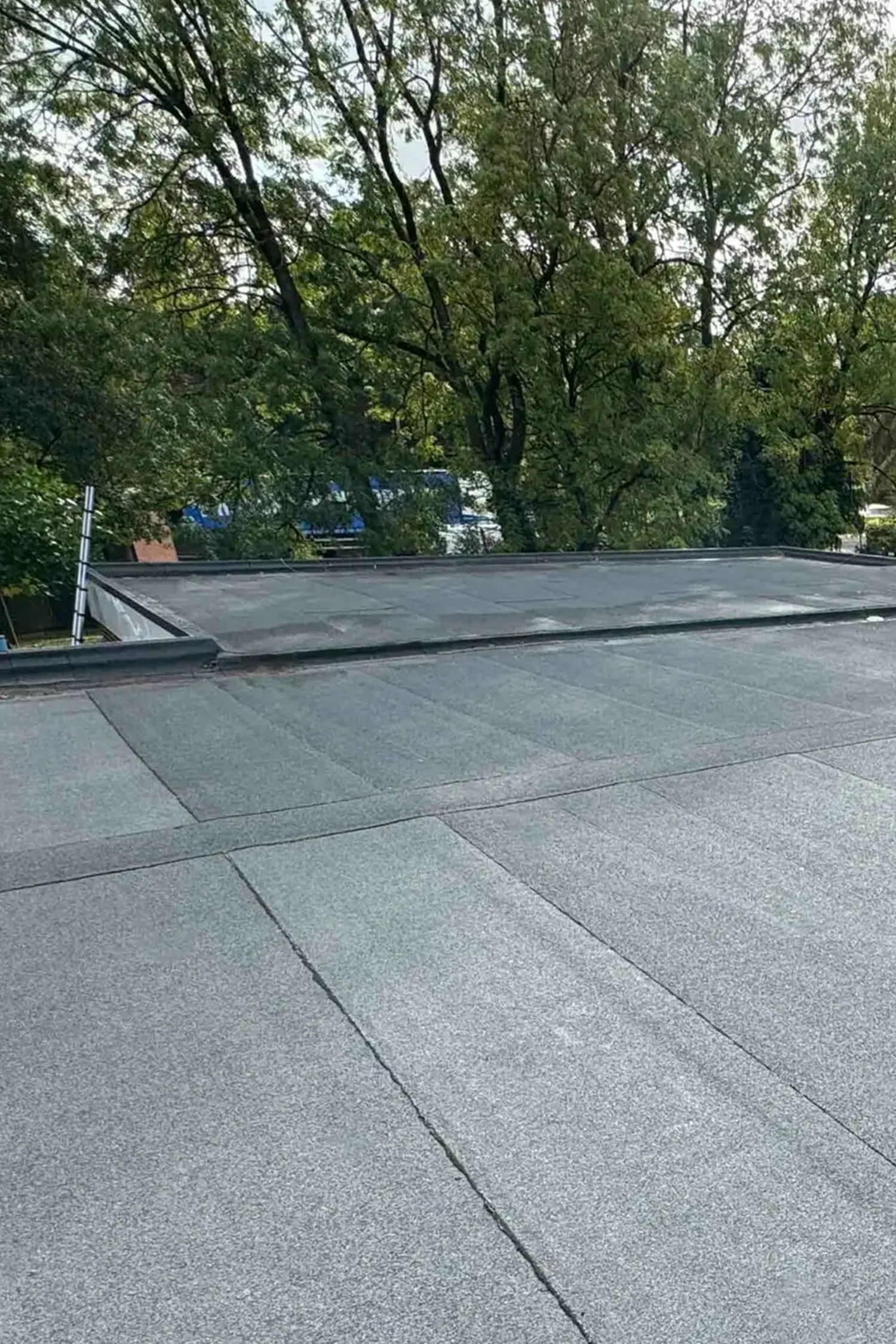 Flat roof with gray tiles and metal edging surrounded by trees
