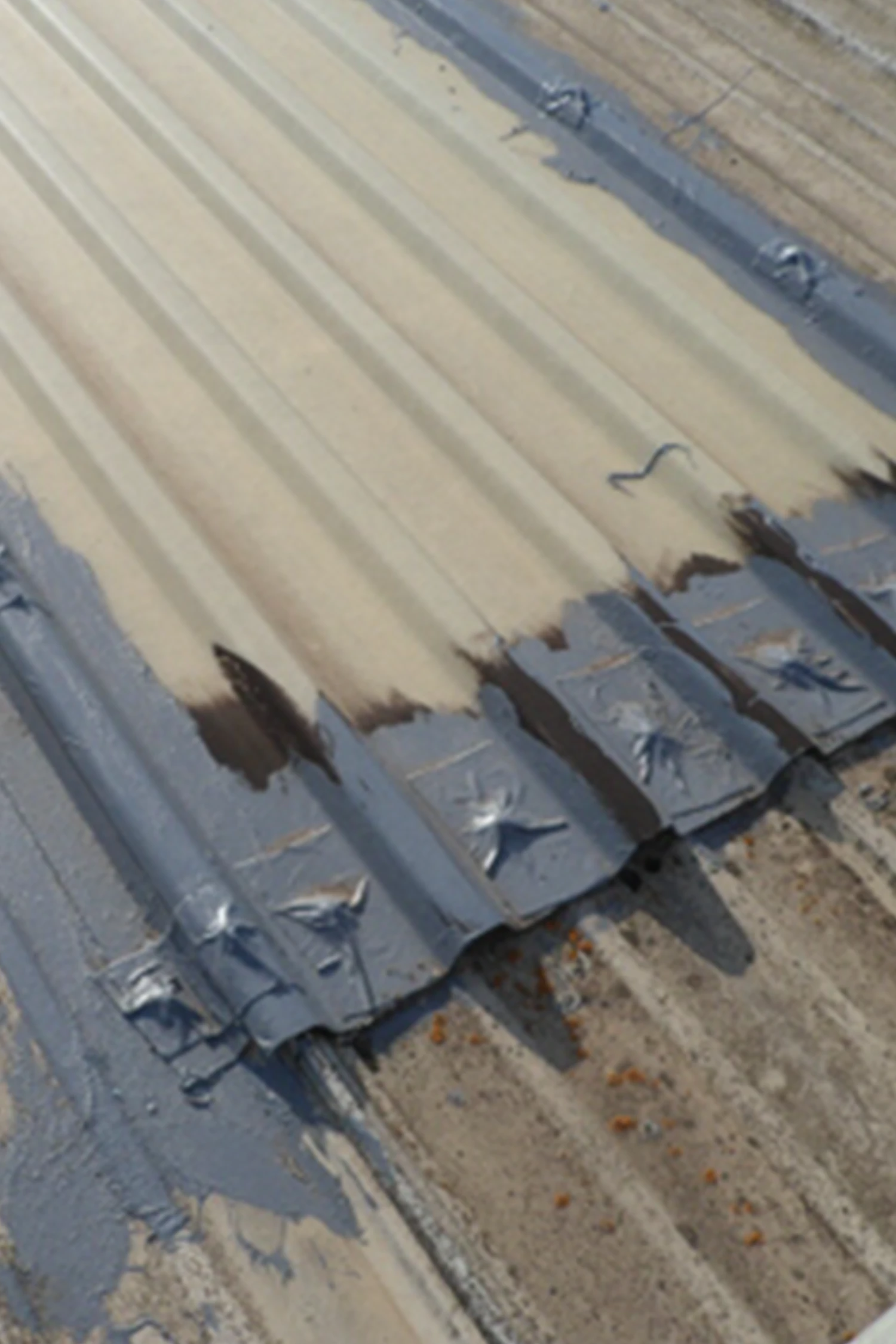 Standing seam metal roof panels with blue end caps installed on concrete base.