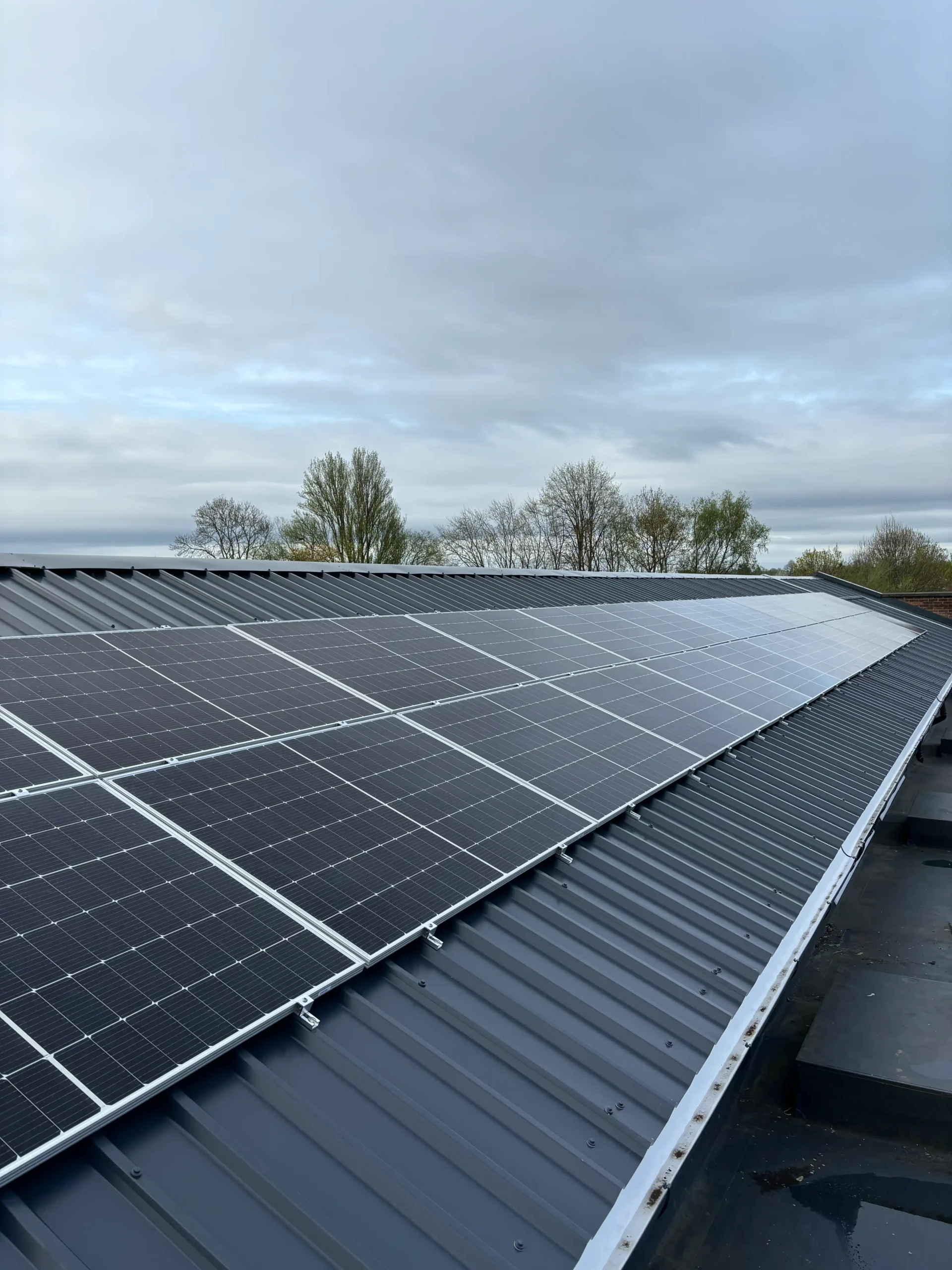 Solar panel array installed on industrial metal roof with bare trees background