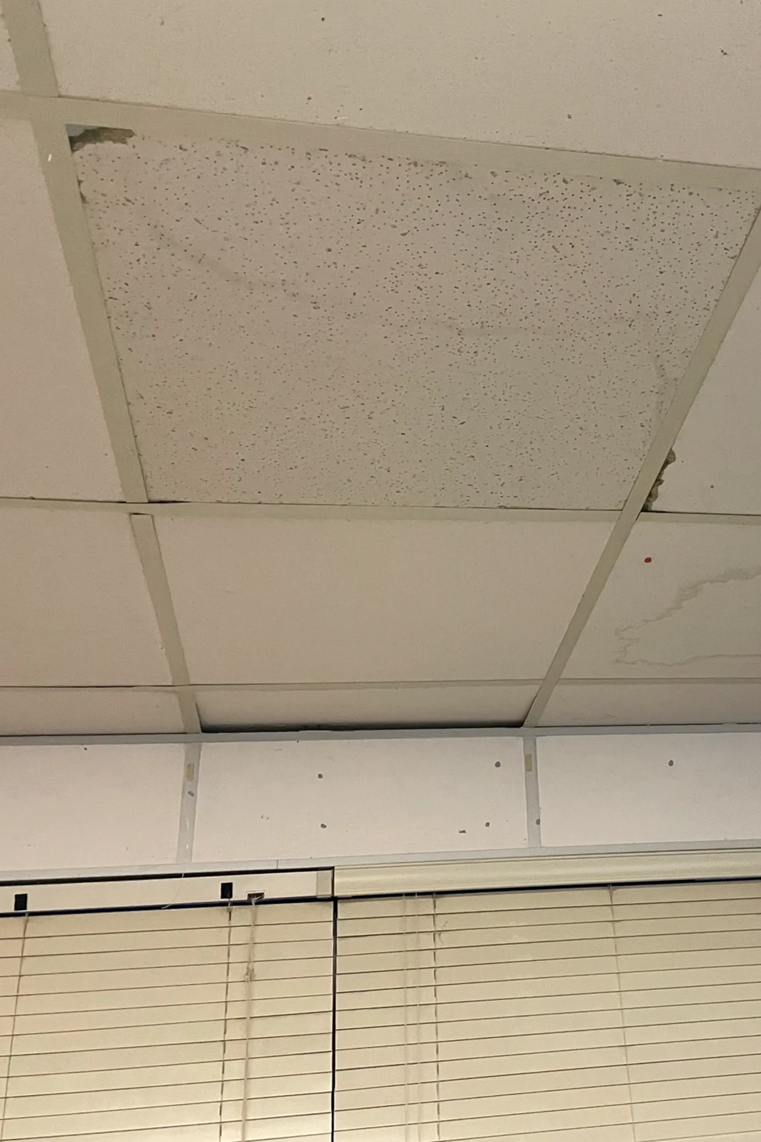 Suspended ceiling tiles with acoustic texture and fluorescent lighting fixtures installed