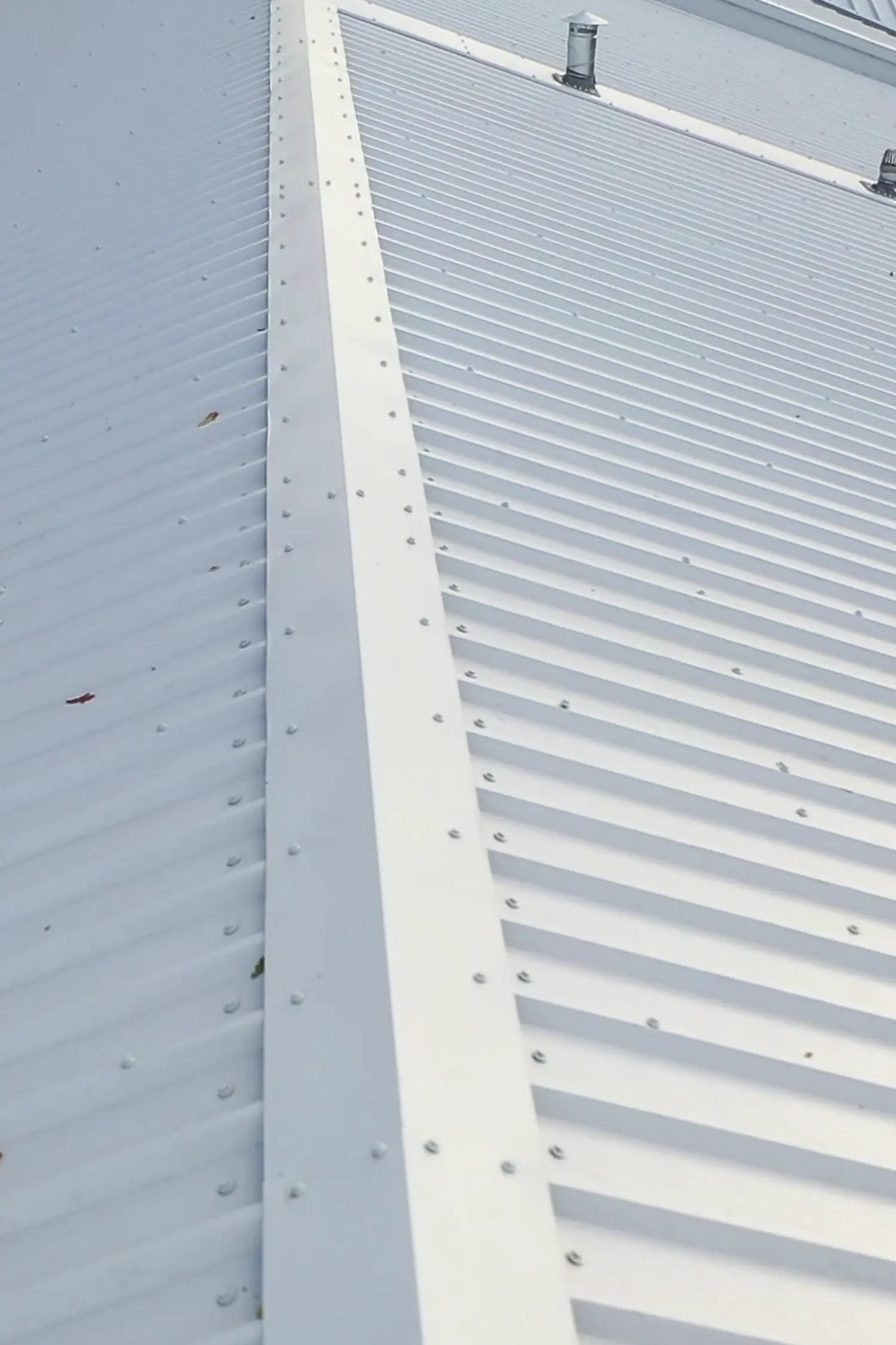 White metal corrugated roof panels with fastener bolts and ridge vent