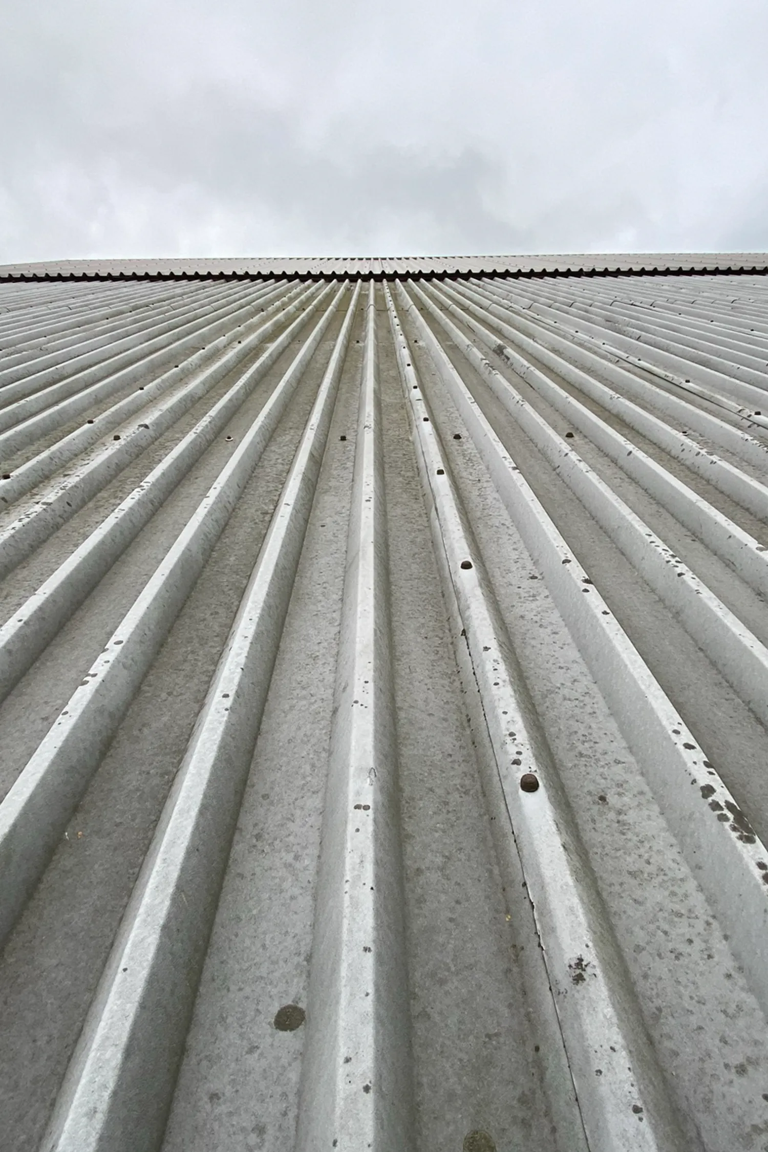 Corrugated metal roof panels with rivets and weathering detail