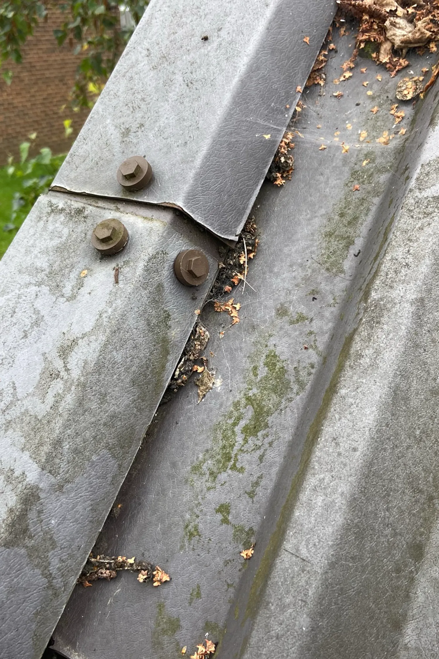 Metal roof cladding panels with bolts and accumulated debris buildup