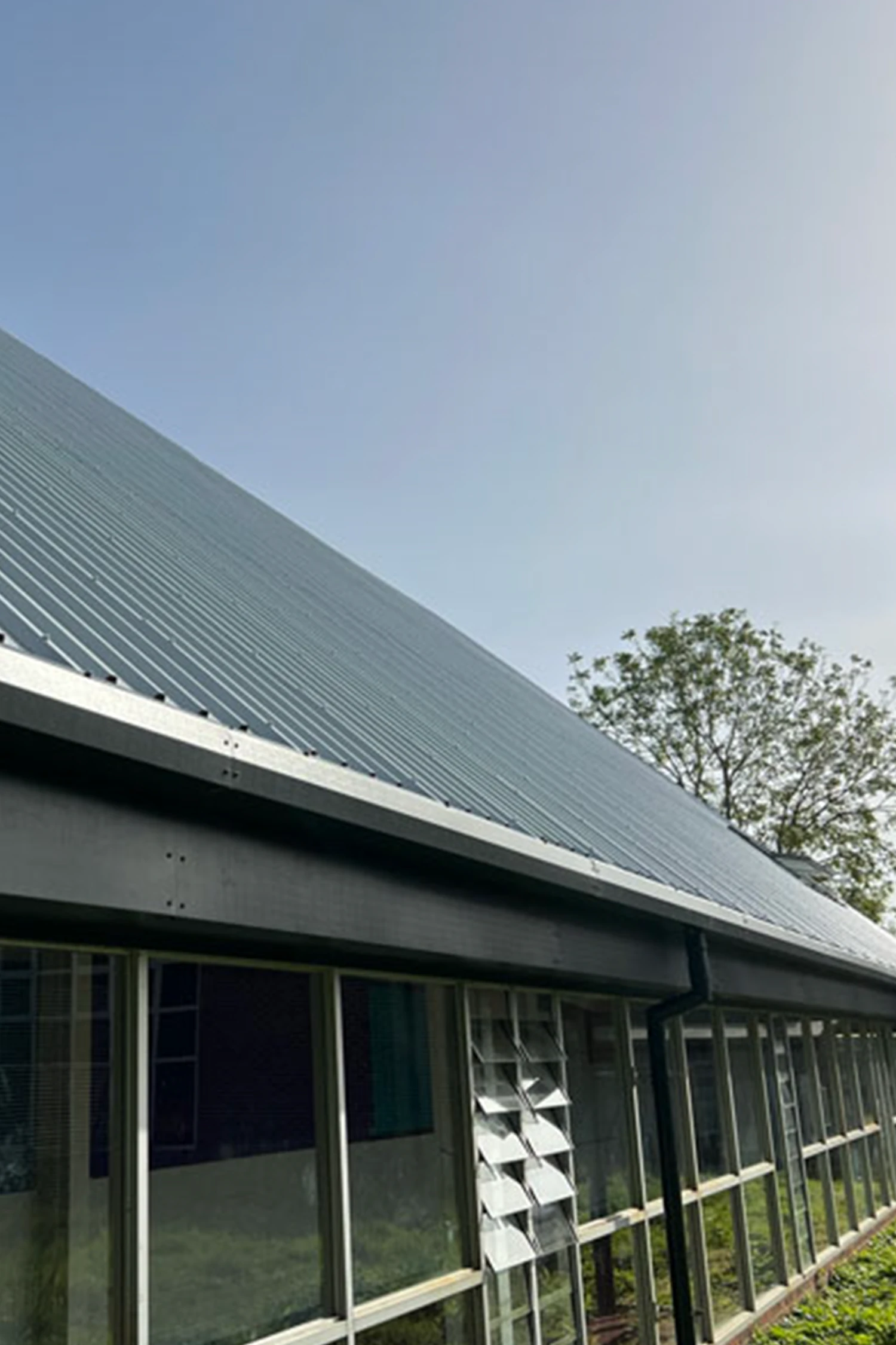 Modern school building with metal roof and large windows exterior view