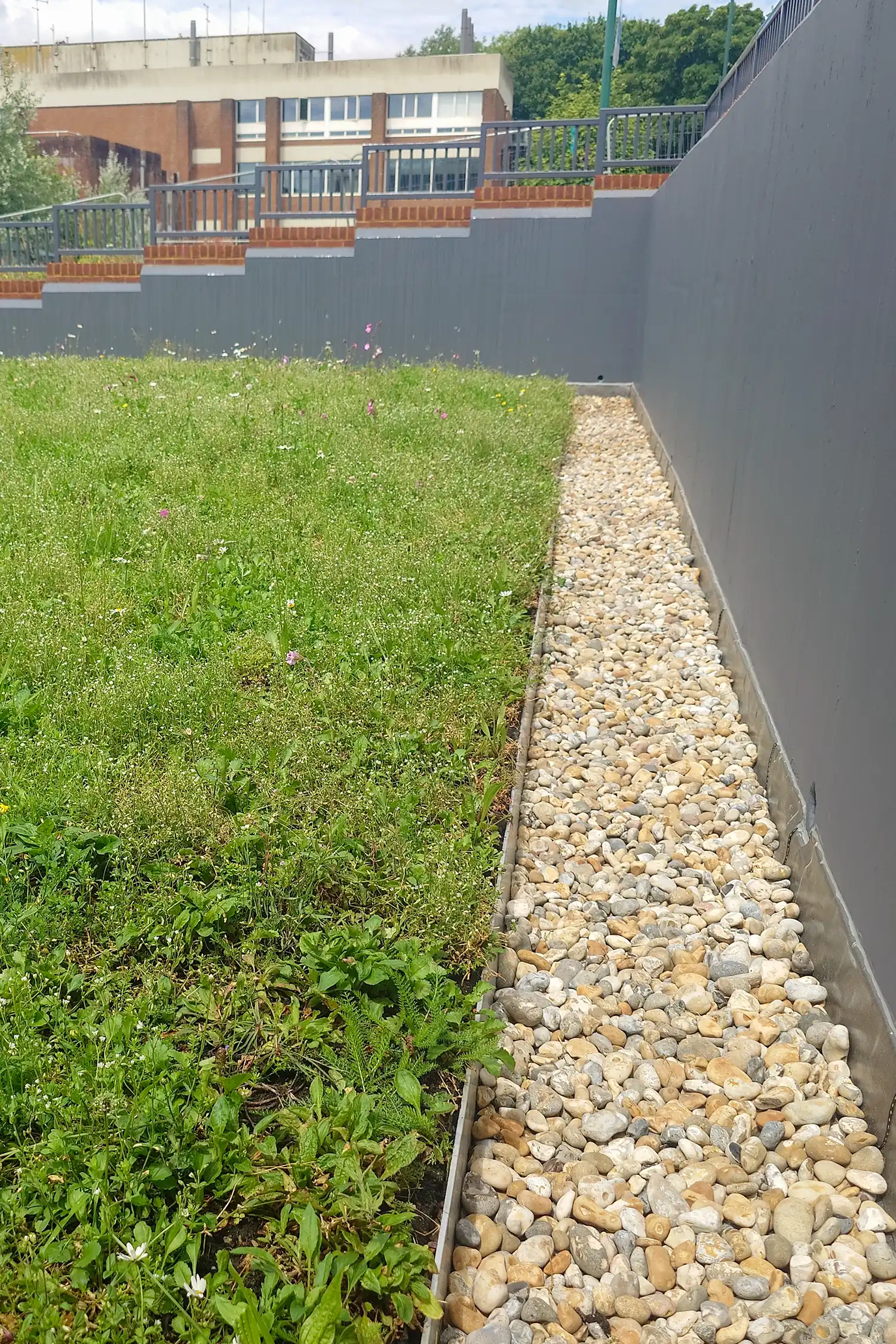 Green roof with wildflowers bordered by gravel drainage strip and retaining wall