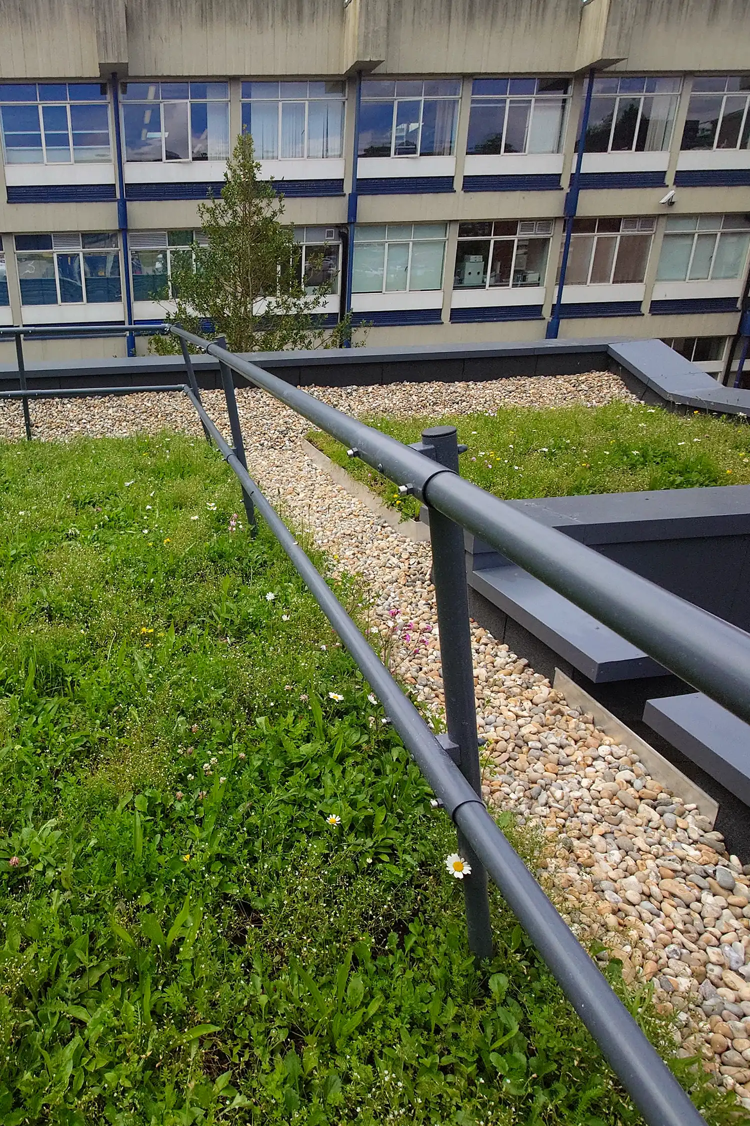 Green rooftop with metal railings overlooking modern university building courtyard