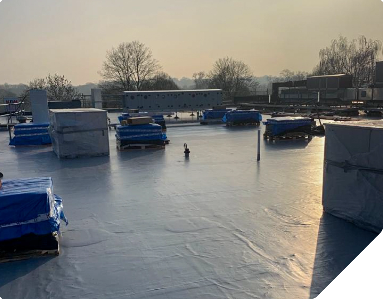 Frozen industrial yard with blue trailers and bare winter trees