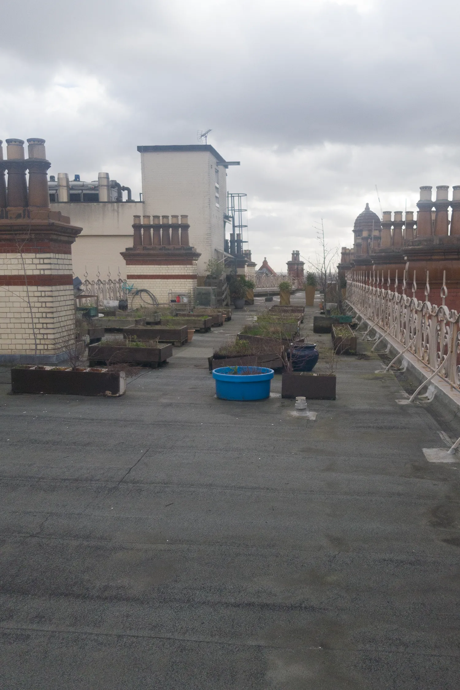 Rooftop terrace of historic Victorian building with ornate chimneys and blue planter